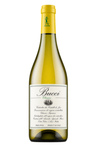 Bucci 2018 Verdicchio dei Castelli di Jesi Classico Superiore