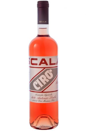 Rose Wine Bottle of Scala Ciro Rosato from Italy