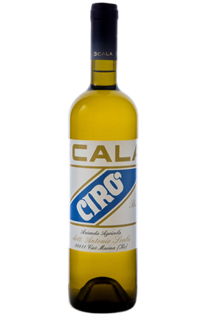 White Wine Bottle of Scala Ciro from Italy