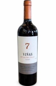 7 Vinas Tierra Del Huarpe 2024 Malbec
