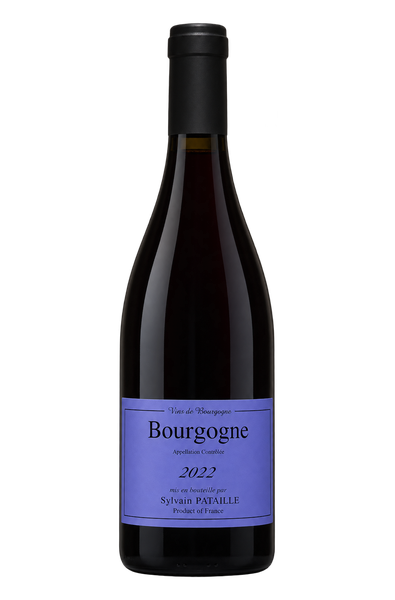 285299 Sylvain Pataille 2022 Bourgogne Rouge - Image 1