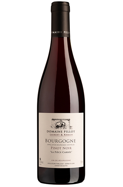 Domaine Romain & Simon Pillot 2023 Bourgogne Rouge