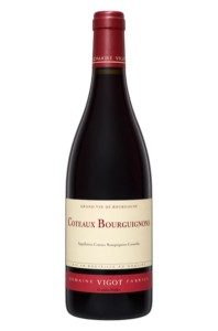 Domaine Fabrice Vigot 2020 Coteaux Bourguignons
