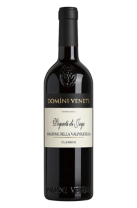 Domìni Veneti 2013 Vigneti di Jago Amarone della Valpolicella Classico