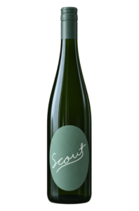 Scout Vineyard 2024 Picone Vineyard Riesling