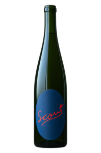 Scout Vineyard 2025 Orange