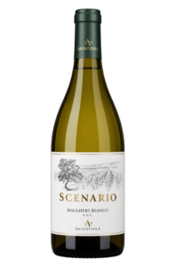Argentiera 2023 Scenario Bolgheri Bianco