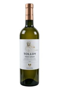 Tolloy 2025 Pinot Grigio Alto Adige