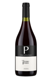 Pedro Parra y Familia 2019 Pencopolitano