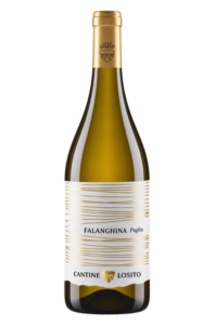 Cantine Losito 2023 Falanghina Puglia IGP